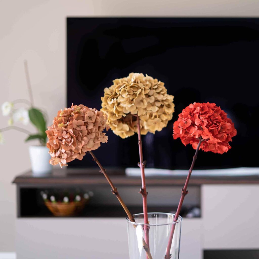 hydrangea-piervino-preserved-design-home