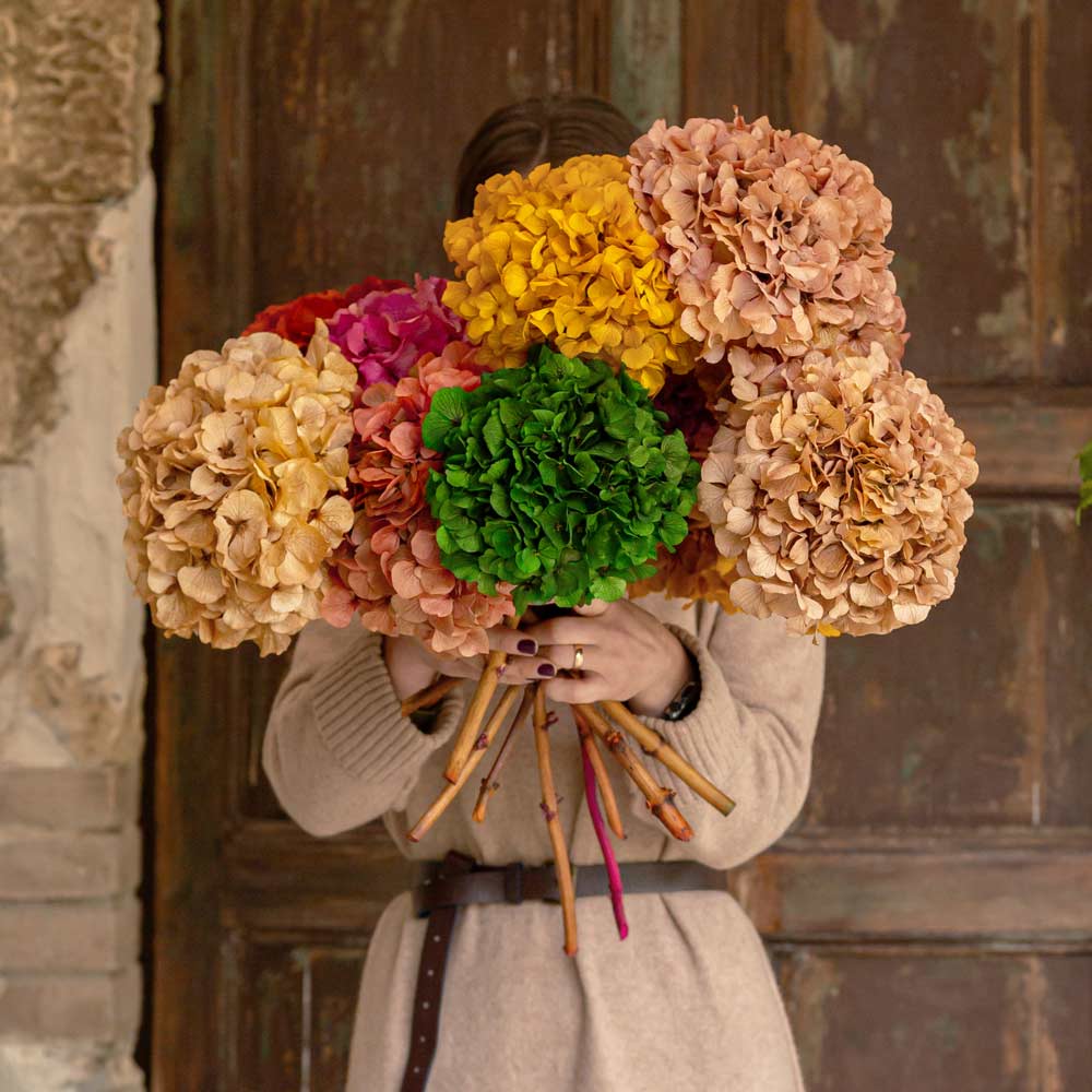 preserved-hydrangea-piervino-lady-bouquet